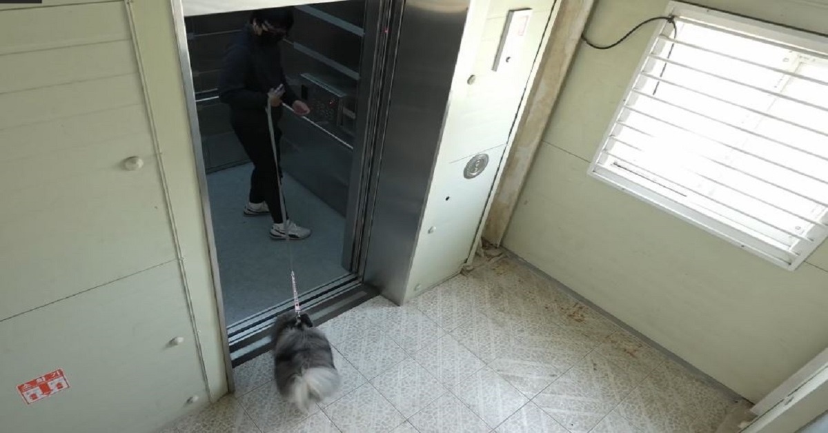 Loai-bo-nguy-co-mat-an-toan-thang-may-tu-vat-can-nho-nhat-thumb