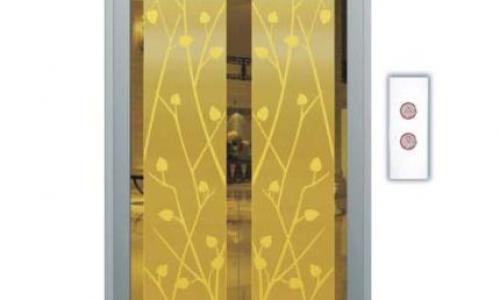 Cửa tầng thang máy Phong thuỷ Lựa chọn TPE-LD07