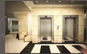 Thang máy tải khách 